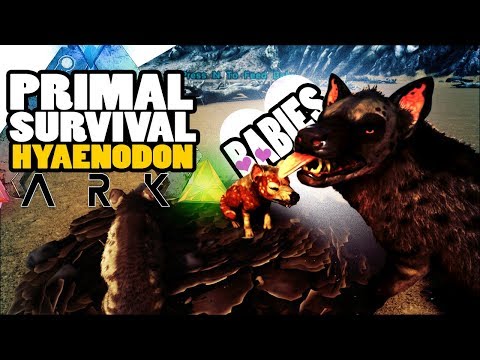 ARK Survival Evolved - NEW PLAY AS DINO UPDATE, HYAENODON HAVING BABIES - Primal Survival