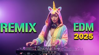 Download lagu Dangdut Koplo DJ Remix 2025 | EDM Kendang & Gamelan Drop | Energetic Dance Vibes | Unicorn Cosplay mp3