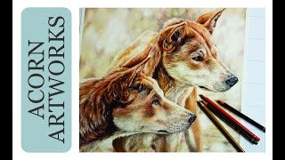 Time lapse of Dingo drawing