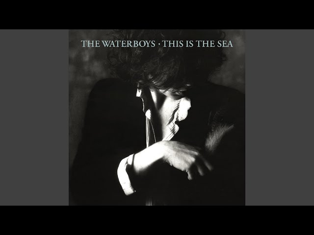 The Waterboys: The Good, The Bad, and The Controversial