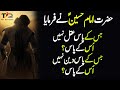 Hazrat Imam Hussain Quotes In Urdu Hazrat Imam Hussain Urdu Quotes The Quotation