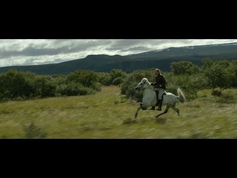 Des chevaux et des hommes - Bande Annonce VF