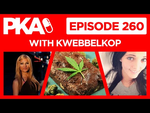 PKA 260 w/ Kwebbelkop Transexual Hookers, Pot Brownies, Prankers Exposed, XXX Music Video Reactions