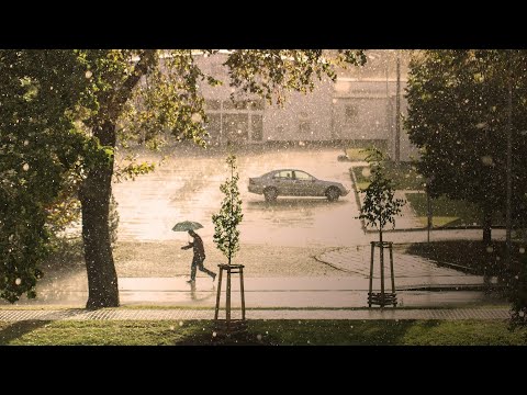 Soothing And Sleeping Noise Of Rain - 10 Hours All Night