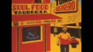 Tommy Guerrero - Organism