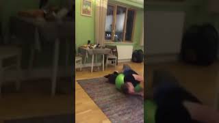 Funny Videos 2021 ● #shorts