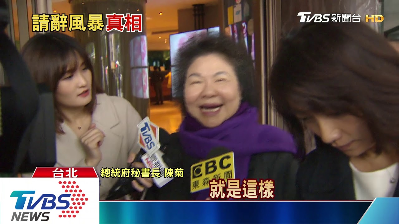 陳師孟透過陳菊請辭 府:總統指示慰留