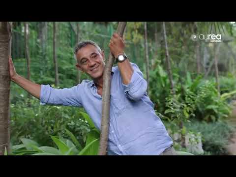 Aurea Açucenas por Marcelo Faisal: paisagismo com alma.