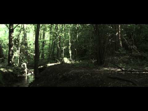 Mary Hampton - Island