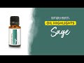 Amazing Benefits of Sage Essential Oil