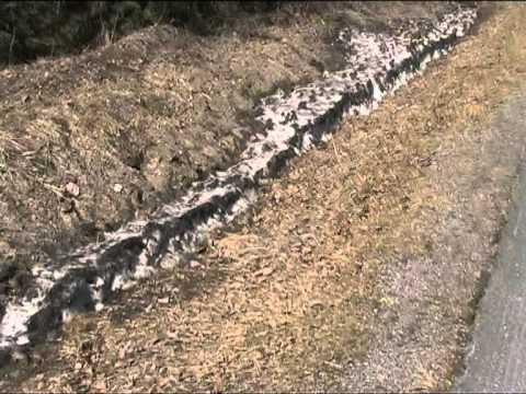 Lenkkeily kausi 2011 avattu