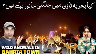 Download lagu Wild Animals in Bahria Town Karachi 🦊 and Winter Vibes at Murree Point ❄️ mp3 Download lagu Wild Animals in Bahria Town Karachi 🦊 and Winter Vibes at Murree Point ❄️ mp3