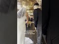 Adorable Dog Is Ring Bearer At Wedding