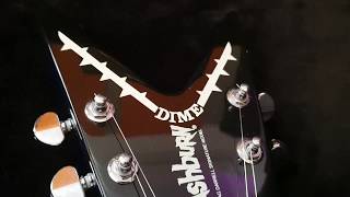 Video thumbnail for WASHBURN DIMEBAG DARRELL PANTERA SIGNATURE DIME 333 DIME333 DIMEBOLT GUITAR UP CLOSE VIDEO REVIEW by Essex Recording Studios