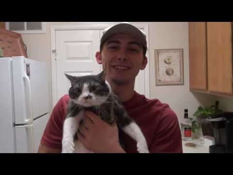 Condor Mini ID Panel Plate Carrier (tactical cat)