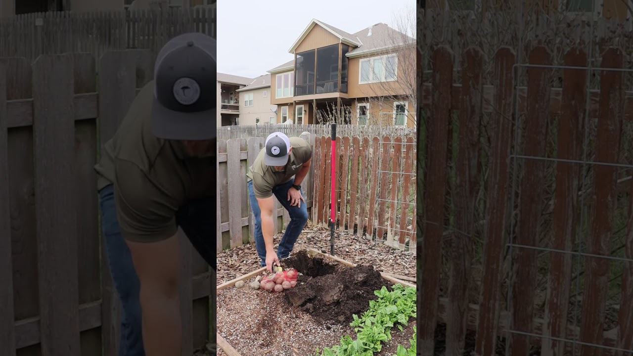 Planting a Fall Vegetalbe Garden