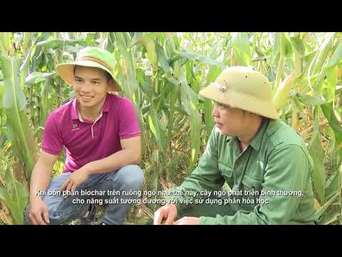 Project on Promotion of Biomass Energy for Agricultural Communities and Rural Development in ASEAN Region