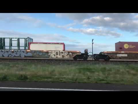 Pacific National 5PM5 near Pimpinio