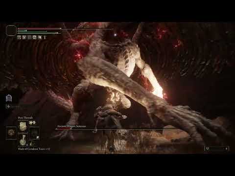 A love letter to Elden Ring dragons