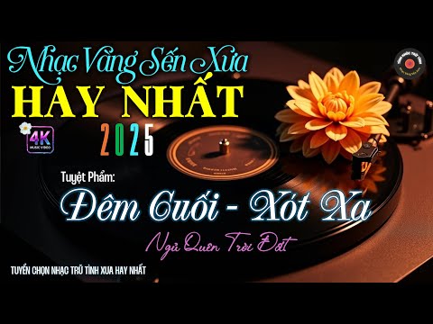Nhạc TÌNH CA BOLERO Trữ Tình HAY NHẤT, ĐỘC LẠ 2025 - Nhạc Vàng Sến Xưa Chọn Lọc CỰC ÊM TAI DỄ NGHE