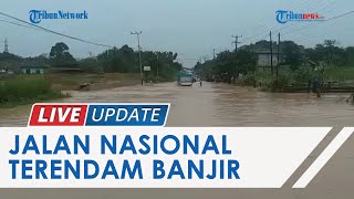 Jalan Nasional di Muarojambi Digenangi Banjir Setinggi Pinggang Orang Dewasa, Lalin Macet