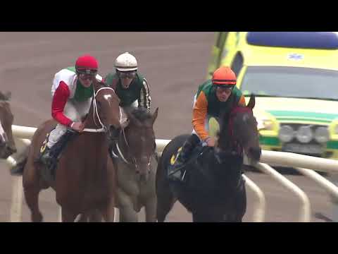 2019.10.13 SFK Jubileumslöpning (SWE) - Gold Tyranny