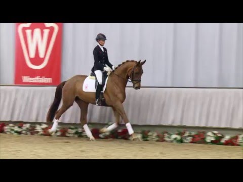 22 France Gall  Stute v. Fidertanz - Ehrentusch