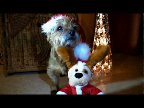 118. BiBi Wishes you a Merry Christmas !!!!