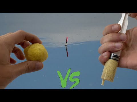 PESCUIT la PLUTA la CARAS cu Mamaliga vs SEMOLINA