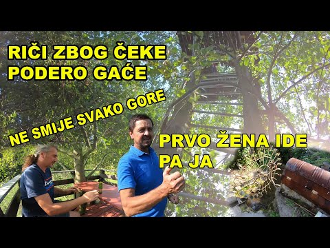 ČEKA NA DRVETU ZA MEZETLUKE