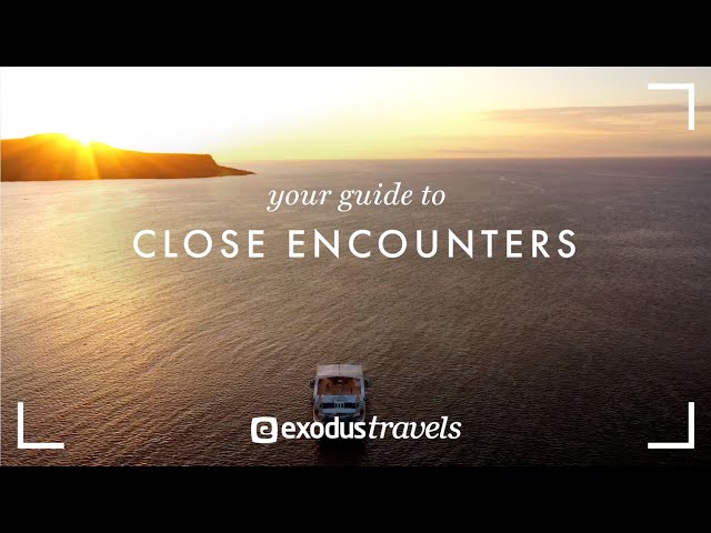 Your Guide to Close Encounters