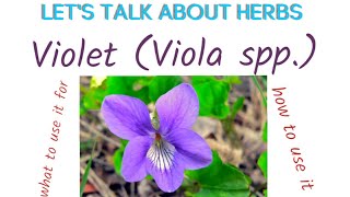 Download lagu Let's Talk About Herbs: Violet mp3 Download lagu Let's Talk About Herbs: Violet mp3