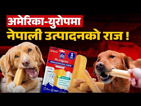 अमेरिका-युरोपका कुकुरको रोजाइमा नेपाली छुर्पी, वार्षिक निर्यात झन्डै ५ अर्बको निर्यात