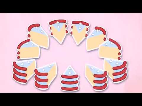 The Points are Gone - Cake At Stake - 10 Hours