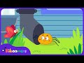 Itsy Bitsy Spider The Kiboomers Preschool Songs Nursery Rhymes