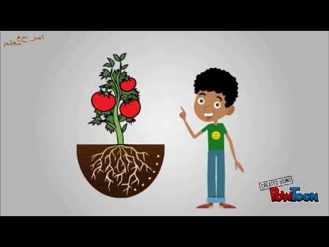 فيديو تعليمي