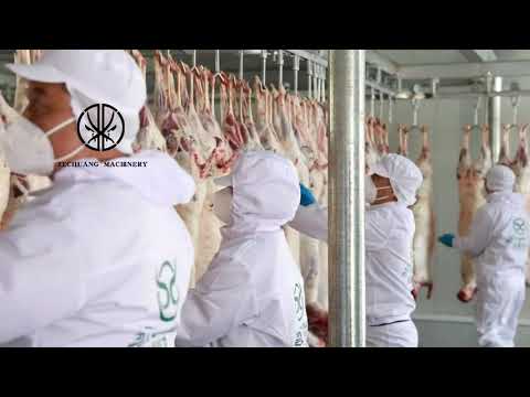 Slaughterhouse Solution Sheep Carcass Processing Automatic Hand Movement Double Conveying Rail