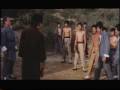 NEEDLES OF DEATH AKA DRAGON TIGER AND PHOENIX WIDESCREEN ENGLISH DUBBED