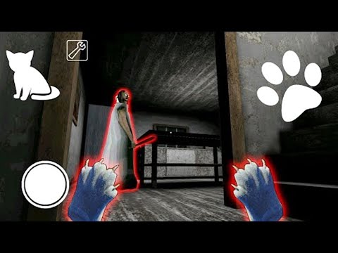 How to Become Pet o Granny