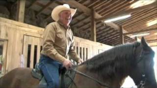 preview picture of video 'Rocky Mountain Horses at Stoner Ridge Farm'
