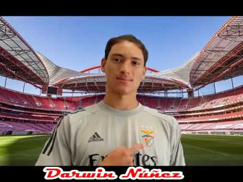 Darwin Núñez #9 - Benfica - Liga Nos