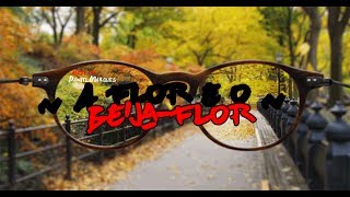 A FLOR E O BEIJA-FLOR [Letra]