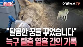 달콤한 꿈을 꾸었습니다 그런데 왜 그리 슬피 우느냐? 그 꿈은 이루어질 수 없기 때문입니다 [PICK] / 연합뉴스TV(YonhapnewsTV)