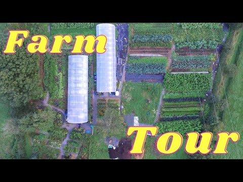 Farm & Market Garden Tour Year 2   The Bullaun Ark