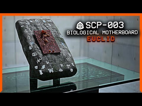 SCP-003 │ Biological Motherboard │ Euclid │ Transfiguration/K Class Scenario SCP