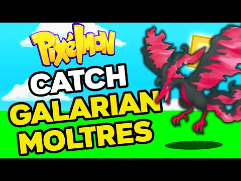 How to Find GALARIAN MOLTRES in PIXELMON Reforged 9.1.13!