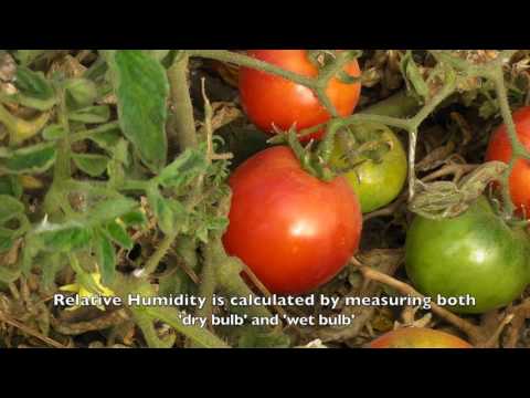 Fotograma del vídeo: How to Measure Temperature and Relative Humidity