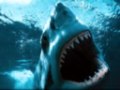 The Great White feat. Dr Dre - Stories For The Homeless
