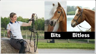 Horse Riding Equipment | Bridles, Bits, & Reins