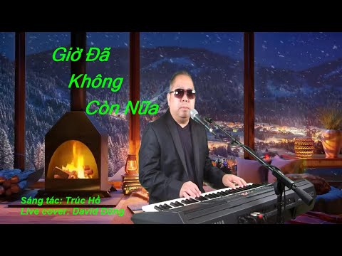 GIỜ ĐÃ KHÔNG CÒN NỮA | S/T: TRÚC HỒ | DAVID DŨNG (LIVE COVER)